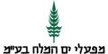 מפעלי-ים-המלח
